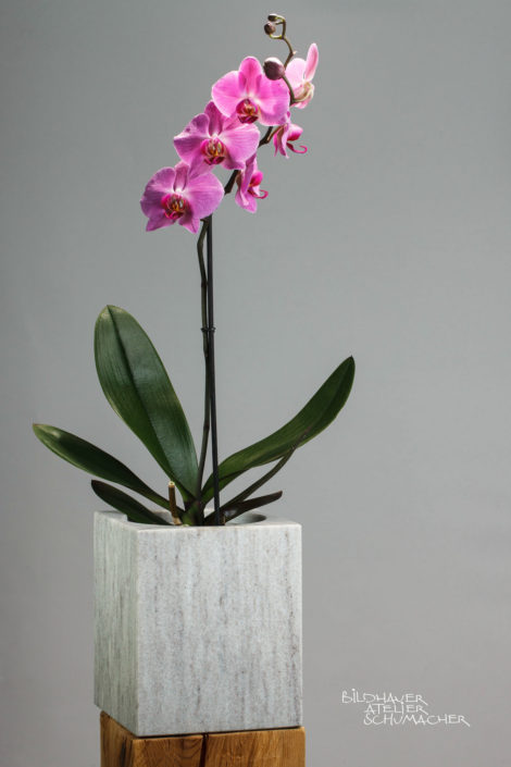 Orchideen Übertopf Cristallina Marmor