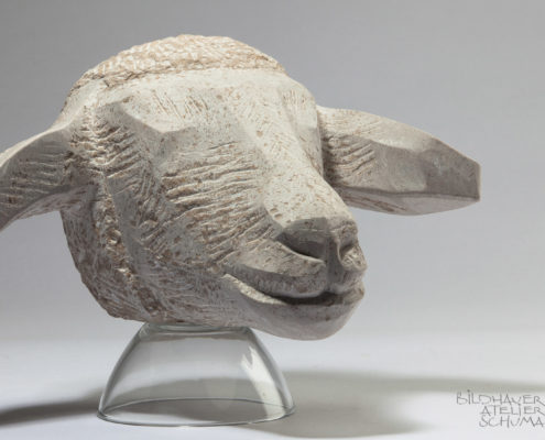 Shaun das Schaf, Schafskopf aus Comblachien